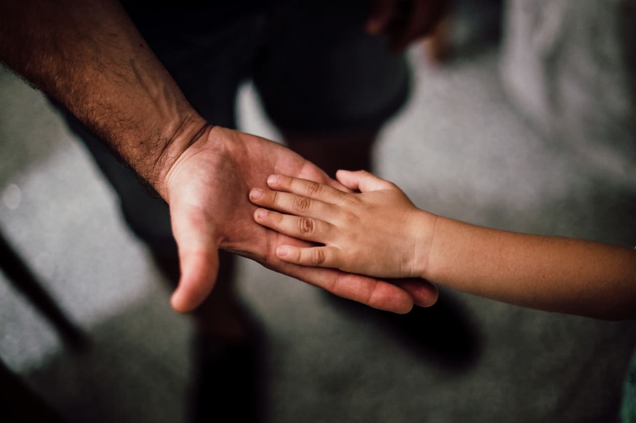 A child's hand in an adult's hand, representing a father and son