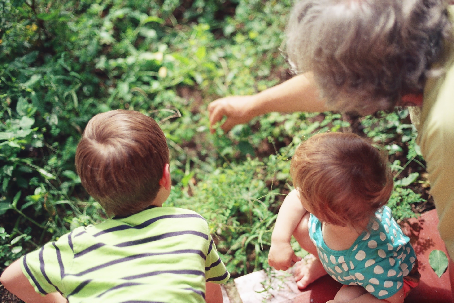 A grandmother with her grandchildren.