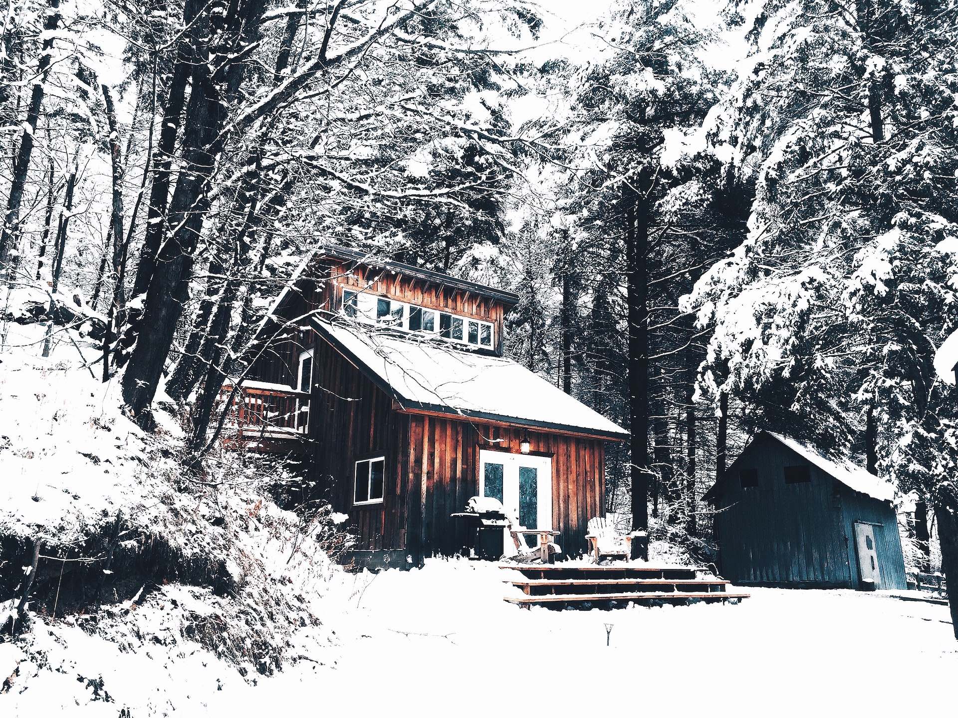 brown wooden house surrounded by forest