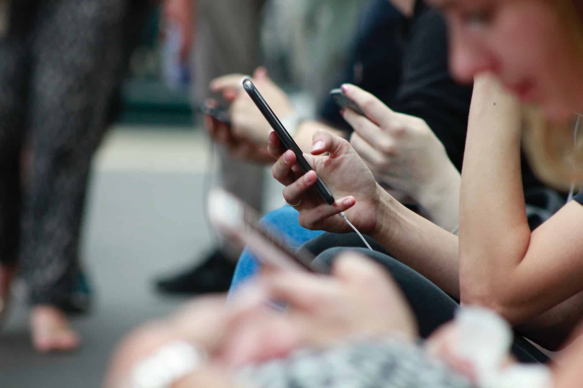 person holding cell phone