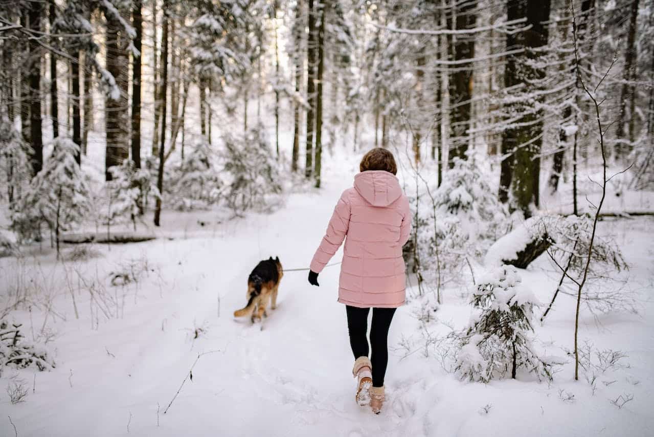 woman walking on snow in woods with dog